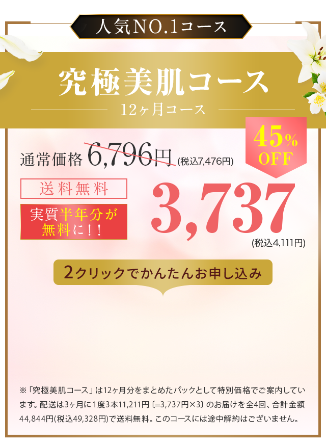 究極美肌コース