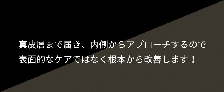 真皮層まで届き内側からケア、根本から改善